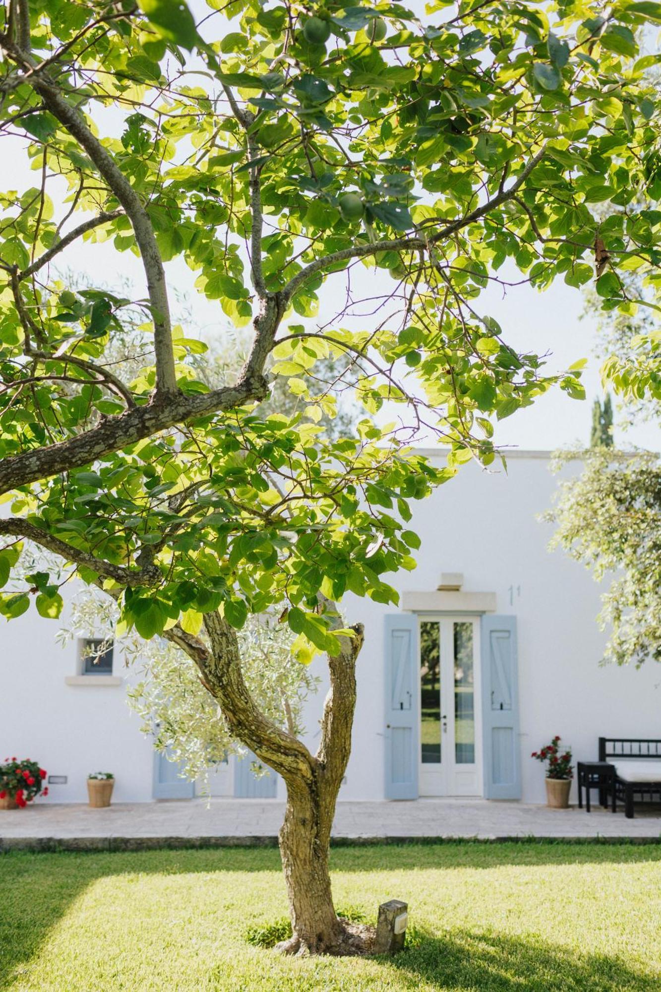 Masseria Montelauro Otranto Exteriör bild