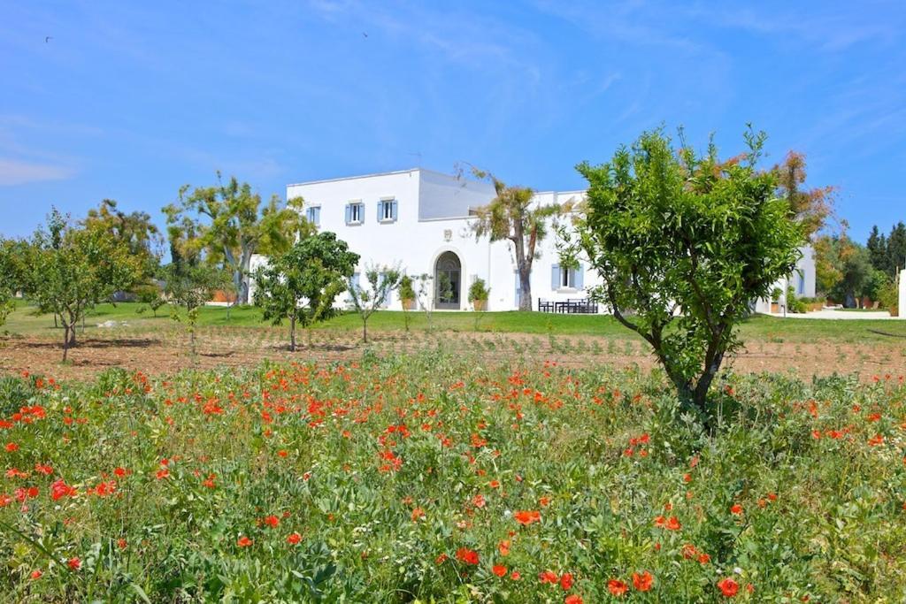 Masseria Montelauro Otranto Exteriör bild